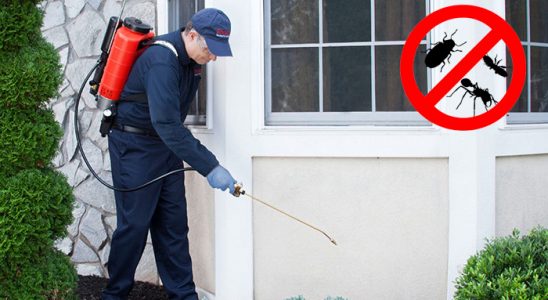 Bekilli Böcek İlaçlama böcek ilaçlama ve haşere kontrolü — ilaclama-tr.com